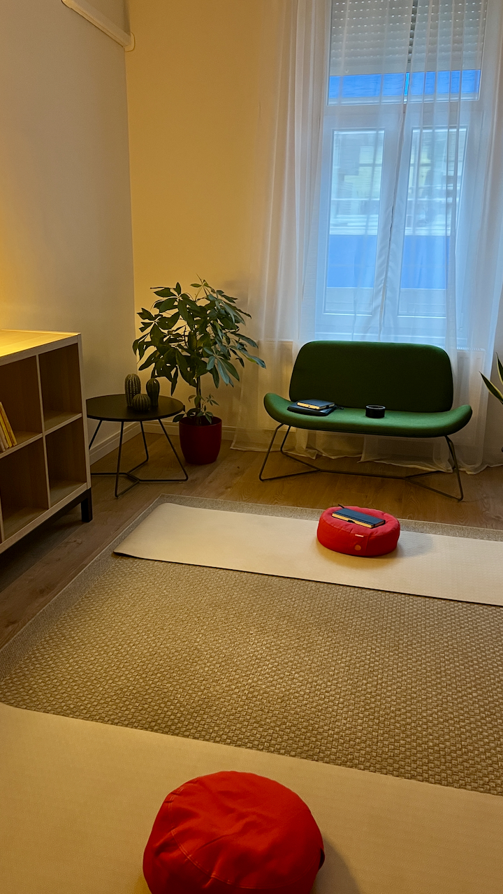 karere studio, frankel leo 64
