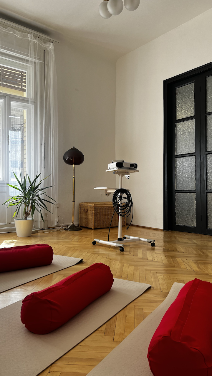 kosztolanyi baji zsolt meditation te kohanga new zealand